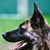 Janice L. Underwood's profile image