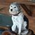 Mary Beth Alsdorf's profile image