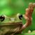 Paula Ash's profile image