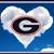 Vicki Kilgore Cottrell's profile image