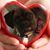 Laurie Kiecker Hammerschmidt's profile image