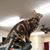 Pamela DeCloud's profile image