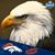 Silvia Pollack's profile image
