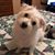 Karen Jamison Kish's profile image