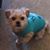 Becky Dauber's profile image
