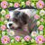 Becky Griffith Leapard's profile image