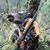 Anthony Hogwild Ritchie's profile image