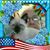 Anne Brooks's profile image