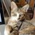 Karen Miller's profile image