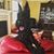 Kirk Lilyengren's profile image