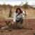 Debbie Colquhoun's profile image