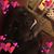 Janell Keehn's profile image