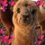 Teresa Martin's profile image
