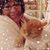 Carolyn Zielke Fry's profile image