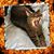 Paula Savard's profile image