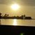 Pami Sil's profile image