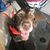 Kris Tebbe's profile image