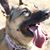 Chris R Winkler's profile image
