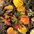 Jerry Evert's profile image