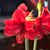 Annemarie Valenti's profile image