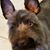 Julie Cram's profile image