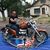Wayne Walter's profile image