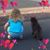 Lori Balcom's profile image