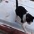 Garrett James Dunn's profile image