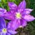 Linda Albright's profile image
