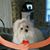 Debbie Middleton's profile image
