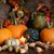 Nancy Belknap Morris's profile image