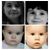 Sharon Elizabeth Morgan Johnson's profile image
