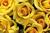 loretta s.'s profile image