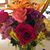 Jennifer Rosendale Stoll's profile image