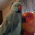 Mary Anne Warczak-Pokorny's profile image