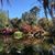 Jeanne L. Lippman's profile image