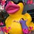 Lauren Elizabeth Kearbey's profile image