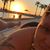 Tammie Turner's profile image