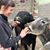 Nicole Gopi Om Sopko's profile image