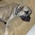 Steve Hower's profile image