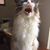 Jolean Renee Kisner's profile image