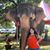 Maleny Herrera's profile image