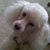 Rudy Dykhuis's profile image