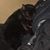 Cassandra M Healy's profile image