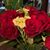 Wanda Jenkins's profile image