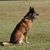 DV Warren Webb's profile image