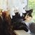 Sharan Schultz Domagalski's profile image
