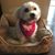 Peggy Metcalf's profile image