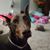 Kristin Bast's profile image