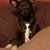 Lori Beth Kyser's profile image